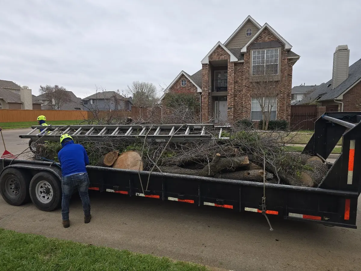 Expert Tree Fertilization with proper safety equipment in Atlanta